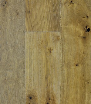 Johnson Hardwood Coastal Dune Shoreline